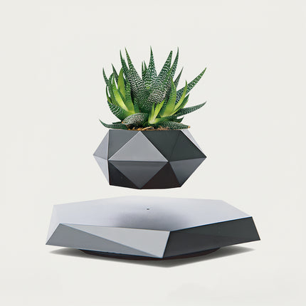 Table Funny Magnetic Levitation Succulent Planter Artwork - An innovative creation for gardening lovers, interior design enthusiasts, and tech admirers, this piece from Table Funny features a magnetic levitation succulent planter with a geometric matte black-and-gray base, a vibrant Aloe Vera-like succulent, and a polygonal geometric pot design. Highlighted by its floating botanical silhouette, magnetic levitation technology, natural succulent detailing, and modern monochromatic texture integration
