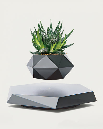 Table Funny Magnetic Levitation Succulent Planter Artwork - An innovative creation for gardening lovers, interior design enthusiasts, and tech admirers, this piece from Table Funny features a magnetic levitation succulent planter with a geometric matte black-and-gray base, a vibrant Aloe Vera-like succulent, and a polygonal geometric pot design. Highlighted by its floating botanical silhouette, magnetic levitation technology, natural succulent detailing, and modern monochromatic texture integration