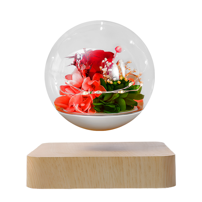 Magnetic levitating preserved flower globe with fairy lights on a light wood base