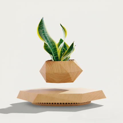 Table Funny Magnetic Levitation Planter Artwork - An innovative creation for gardening lovers, interior design enthusiasts, and tech admirers, this piece from Table Funny features a magnetic levitation planter with a geometric wooden base, a vibrant snake plant (Sansevieria), and a polygonal wooden pot design. Highlighted by its floating botanical silhouette, magnetic levitation technology, natural greenery detailing, and organic wood texture integration, it’s a captivating decor piece that 