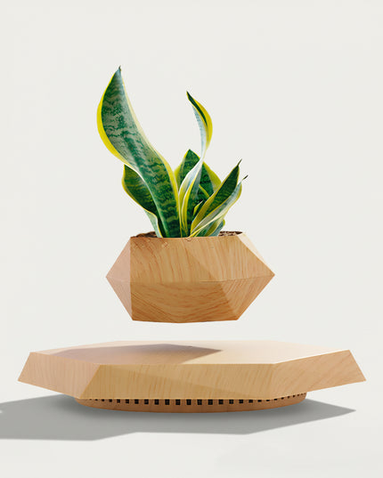 Table Funny Magnetic Levitation Planter Artwork - An innovative creation for gardening lovers, interior design enthusiasts, and tech admirers, this piece from Table Funny features a magnetic levitation planter with a geometric wooden base, a vibrant snake plant (Sansevieria), and a polygonal wooden pot design. Highlighted by its floating botanical silhouette, magnetic levitation technology, natural greenery detailing, and organic wood texture integration, it’s a captivating decor piece that 