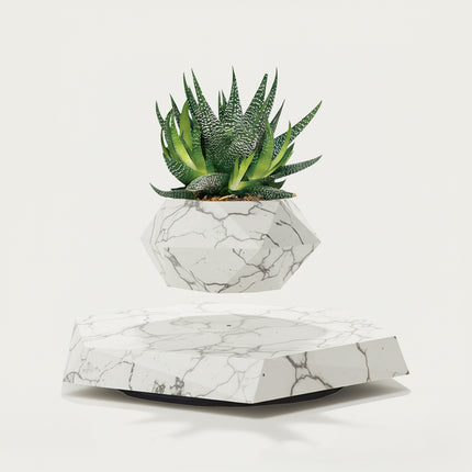 Table Funny Magnetic Levitation Succulent Planter Artwork - An innovative creation for gardening lovers, interior design enthusiasts, and tech admirers, this piece from Table Funny features a magnetic levitation succulent planter with a geometric marble base, a vibrant Aloe Vera-like succulent, and a polygonal marble pot design. Highlighted by its floating botanical silhouette, magnetic levitation technology, natural succulent detailing, and elegant marble texture integration