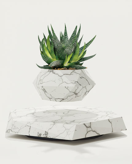 Table Funny Magnetic Levitation Succulent Planter Artwork - An innovative creation for gardening lovers, interior design enthusiasts, and tech admirers, this piece from Table Funny features a magnetic levitation succulent planter with a geometric marble base, a vibrant Aloe Vera-like succulent, and a polygonal marble pot design. Highlighted by its floating botanical silhouette, magnetic levitation technology, natural succulent detailing, and elegant marble texture integration