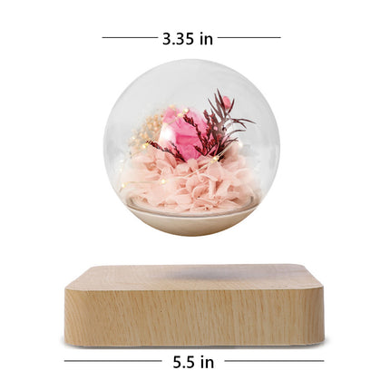 Dimensions of the magnetic levitation preserved flower display: 3.35 inches (sphere diameter) and 5.5 inches (base length)