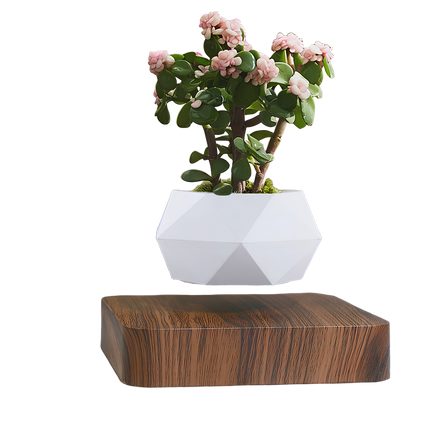 Modern levitating plant pot for a unique home decor, featuring a geometric white planter and a wood grain base