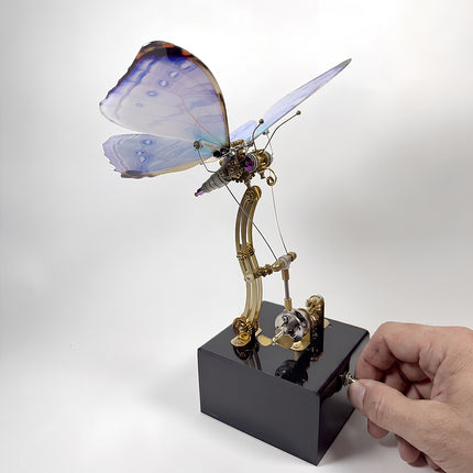 Hand toggling the power switch on the base of tablefunny's mechanical steampunk butterfly model kit.