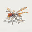 Winged Wasp