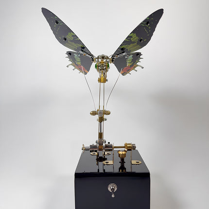 Turning on the motorized steampunk mechanical butterfly model using the side toggle switch on the black base.